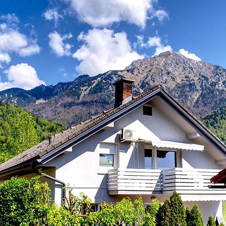 Apartma Storzic Preddvor Ngoại thất bức ảnh